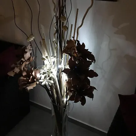 Star House 5* Hevlín