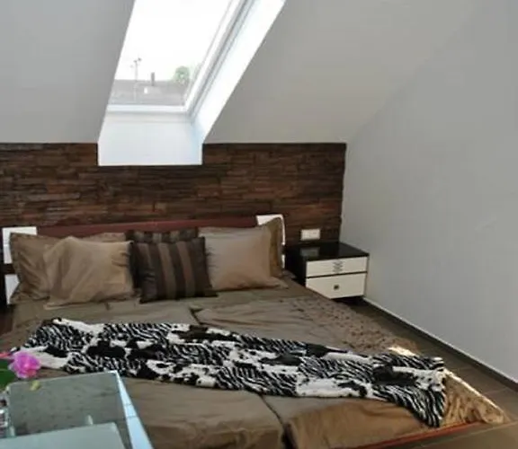 Star House Hevlín